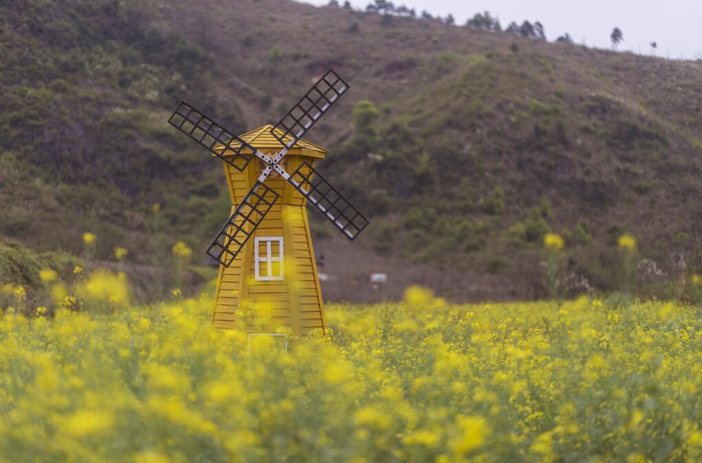 QQ截图20190330124416.jpg QQ截图20190330124416.jpg